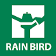 Rain Bird by GTxcel APK