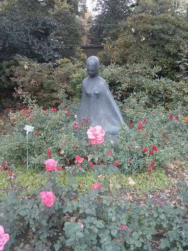 Woman of the Rose Garden 