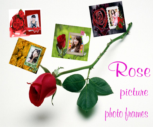 Roses Picture - Photo Frames