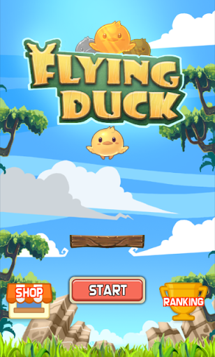 Flying Duck