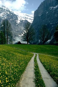 Swiss Scenery