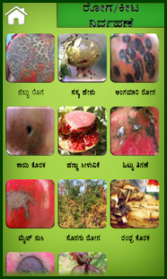 Free Pomegranate Kannada APK