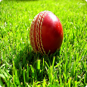 T20 Cricket 1.3 Icon