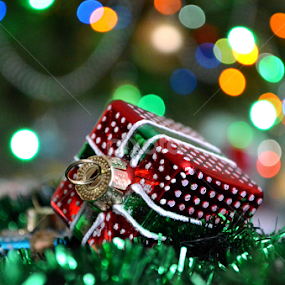 by Kristina Nutautiene - Public Holidays Christmas