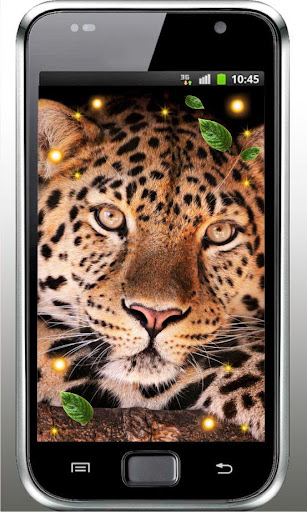 Leopard Voices live wallpaper