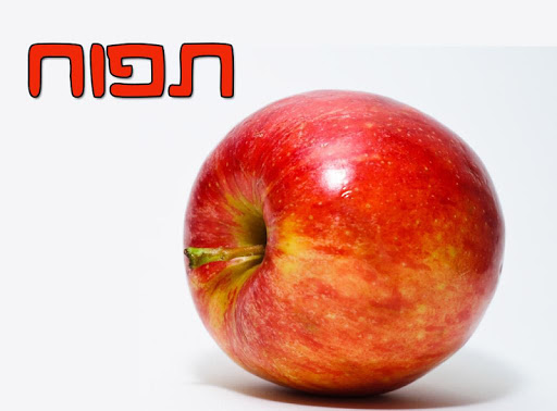 【免費教育App】טבע בתמונות - גרסא חינמית-APP點子