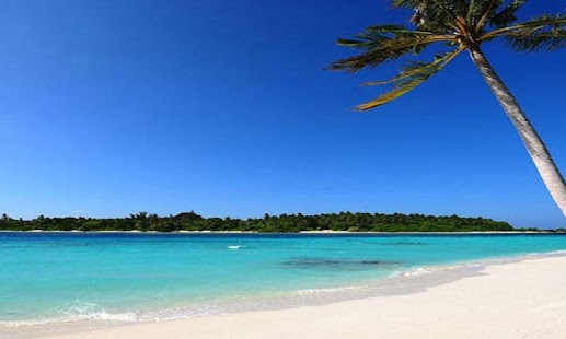 Paradisidacas beaches Screenshots 4