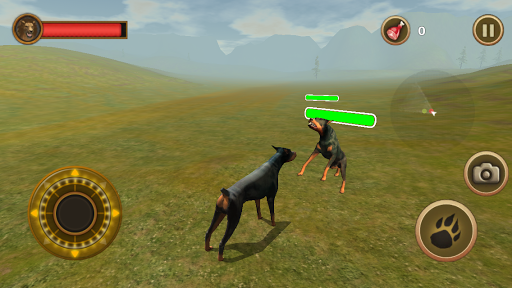 免費下載動作APP|Dog Survival Simulator app開箱文|APP開箱王