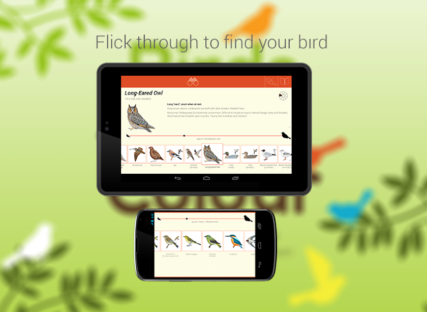 Birds by Colour Screen 2