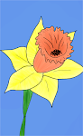 Daffodil