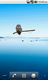 Owl on Branch Sticker poster 1