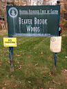 Beaver Brook Woods