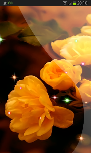 Yellow Roses Wallpaper