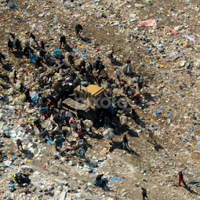 Garbage collectors by Frunzete Dorin - People Group/Corporate