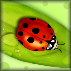 Ladybugs Live Wallpaper.apk 1.0