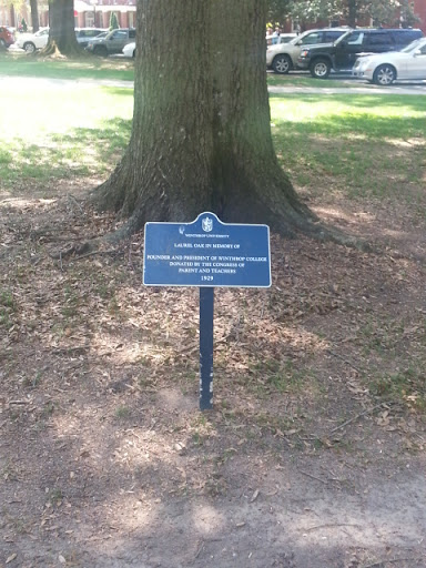 Winthrop Founder Memorial Laurel Oak Tree