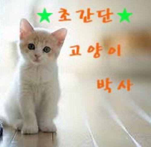 초간단 고양이 박사