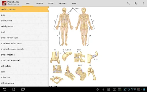 Atlas of Anatomy - screenshot thumbnail