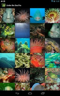 Download Under the Sea APK
