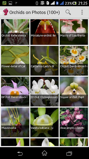Orchid News