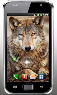 Wolf Angry Free live wallpaper Screenshots 3