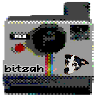 Bitzah Retro Pixel Camera APK カバーアート