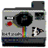 Bitzah Retro Pixel Camera Application icon