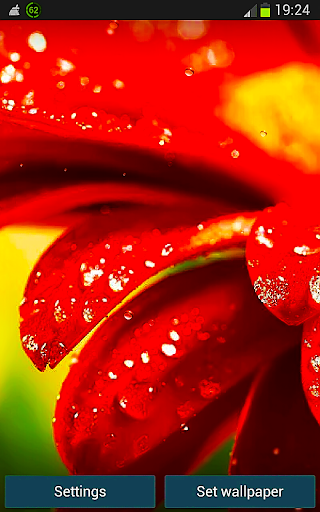 Galaxy Red Flower HD LWP