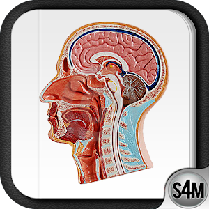 Atlas of Anatomy (Human) logo