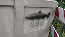 2011 Salmon 