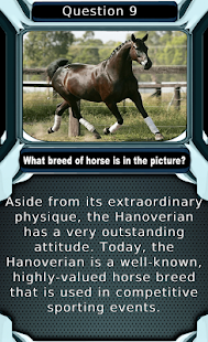 My Horse & Pony Breeds Quiz HD Screenshots 5