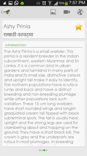 【免費書籍App】Indian Birds - Pro-APP點子