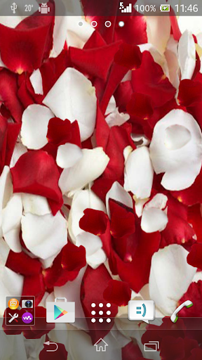 3D Rose Petals Live Wallpaper