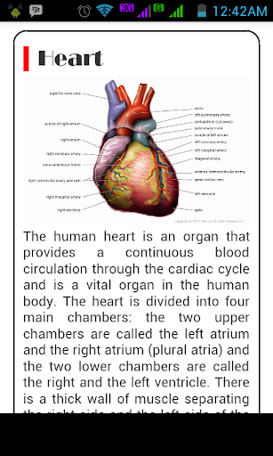 【免費健康App】Dictionary Of Human Anatomy-APP點子