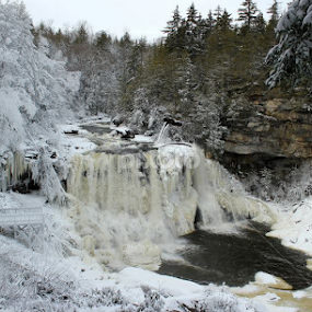 So Beautiful Here ! by Sue Myers Lucas - Landscapes Waterscapes