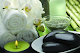 Relax Foot Spa Massage logo