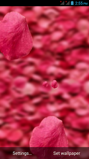 3D Petals live wallpaper