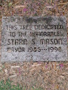Starr S Mason Memorial Tree
