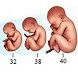 Arab Pregnant
