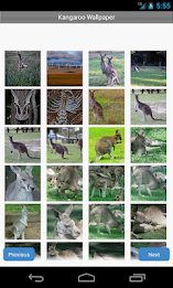 Kangaroo Wallpapers poster 2