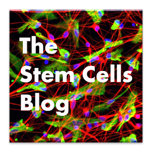 The Stem Cells Blog 0.1