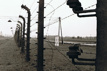 Auschwitz Zaun.JPG