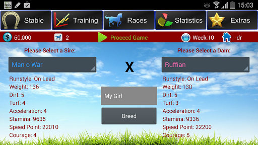 Horse Racing Breeding Game