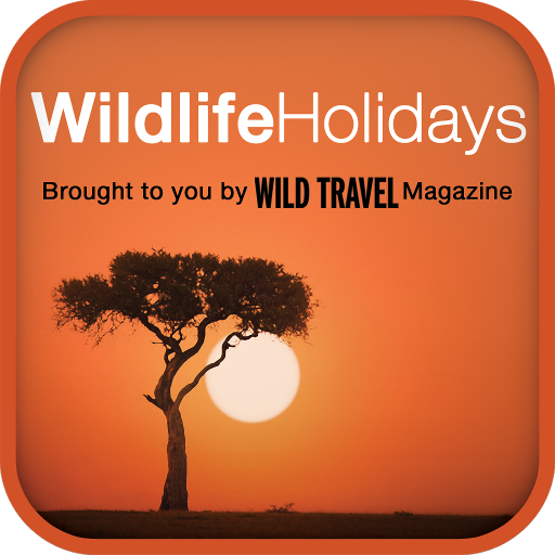 Wildlife holidays