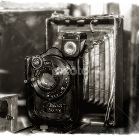 Zeiss by Michel Lorente - Artistic Objects Antiques