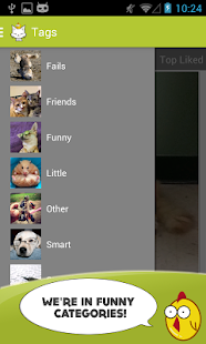 Cute Animals Photos Wallpapers Screenshots 11