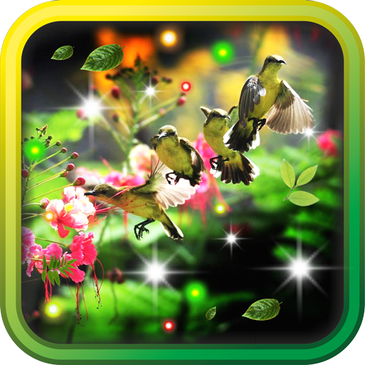 Humming Bird HQ live wallpaper LOGO-APP點子