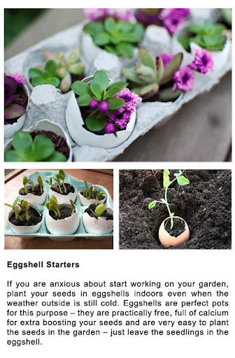 免費下載生活APP|DIY Gardening Tips app開箱文|APP開箱王