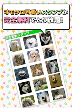 ｌｉｎｅスタンプで送れる 爆笑 癒し動物面白画像スタンプ Androidアプリ Applion