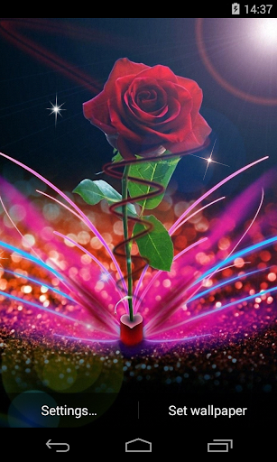 Rose Live Wallpaper